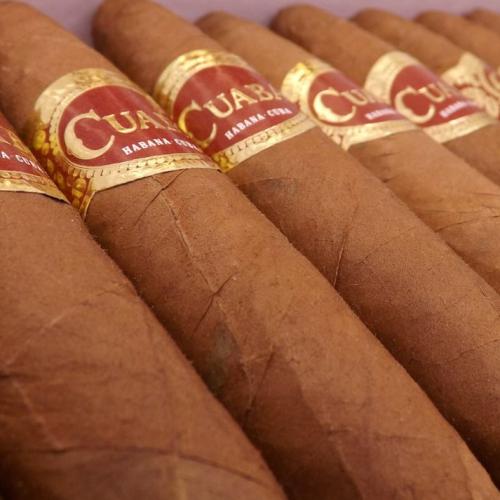 Cuaba Divinos Cigar - Box of 25